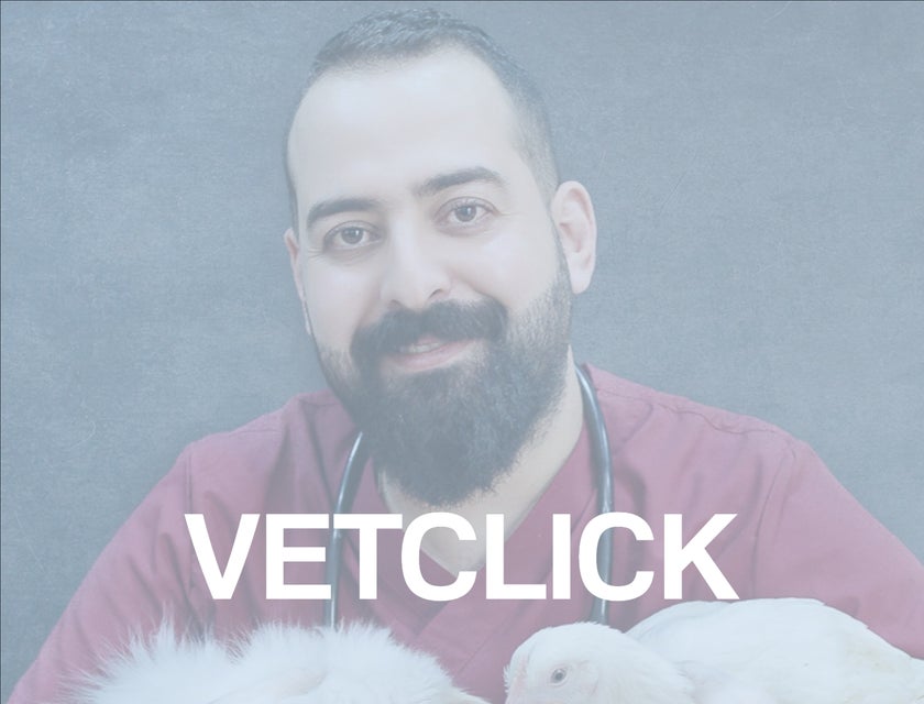 VetClick logo.