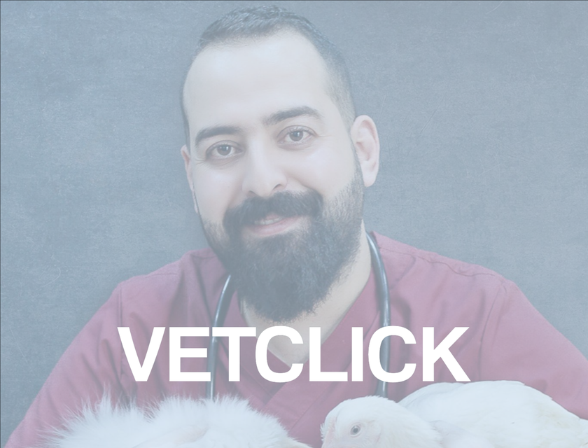 VetClick logo.