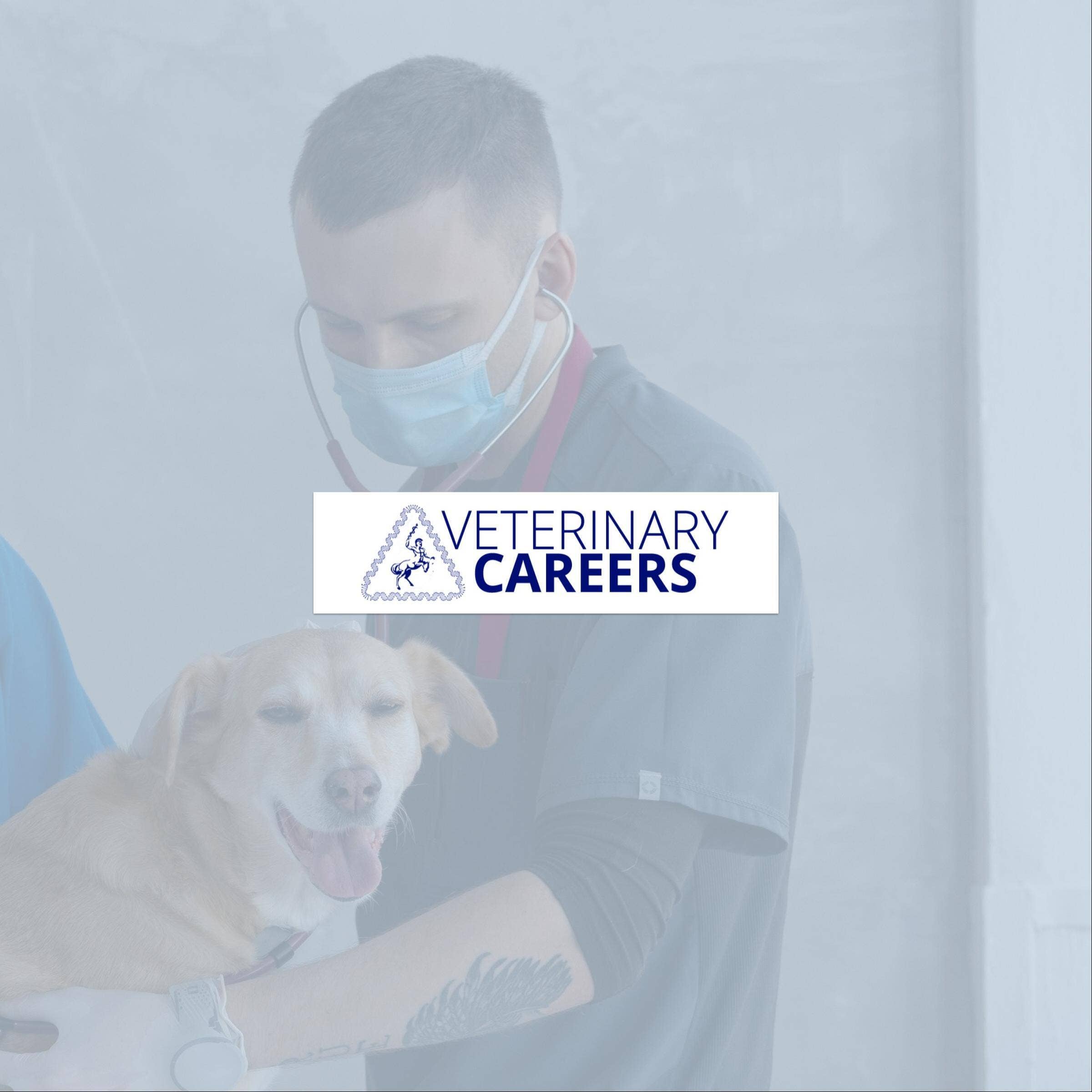 VeterinaryCareers.com.au Review With Pricing, Alternatives, and FAQs
