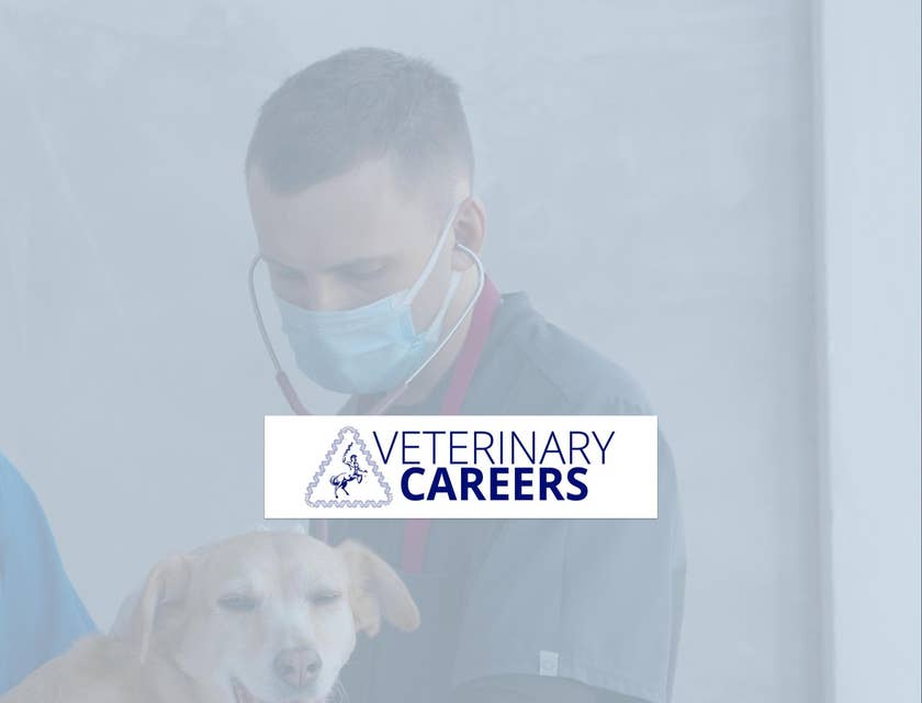 VeterinaryCareers.com.au logo.