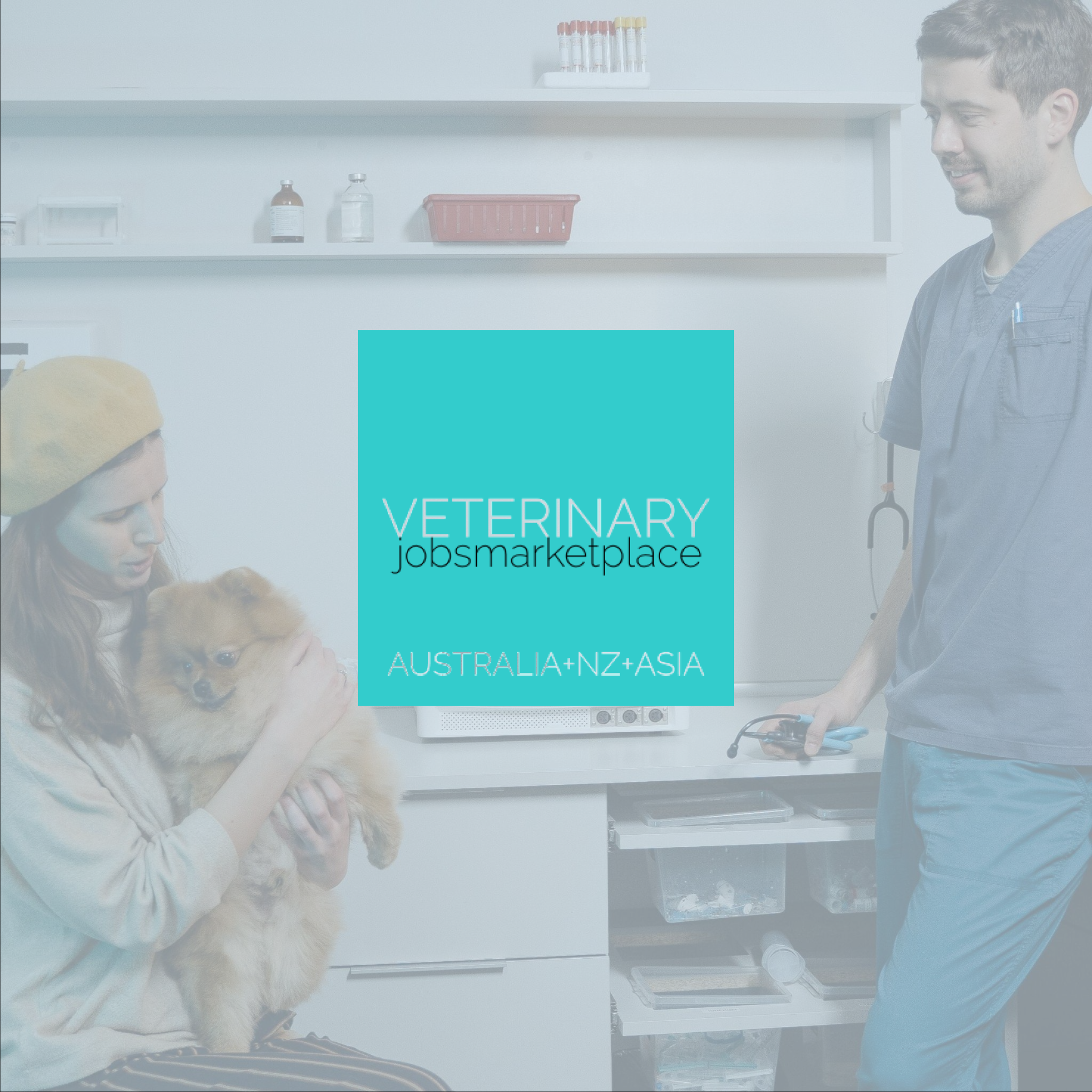 Veterinary Jobs Marketplace