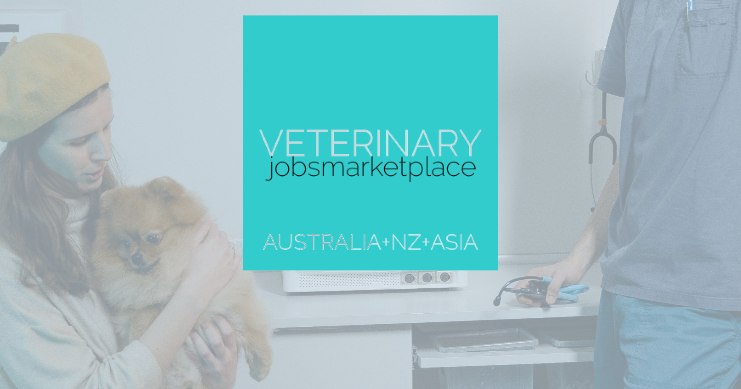 Veterinary Jobs Marketplace