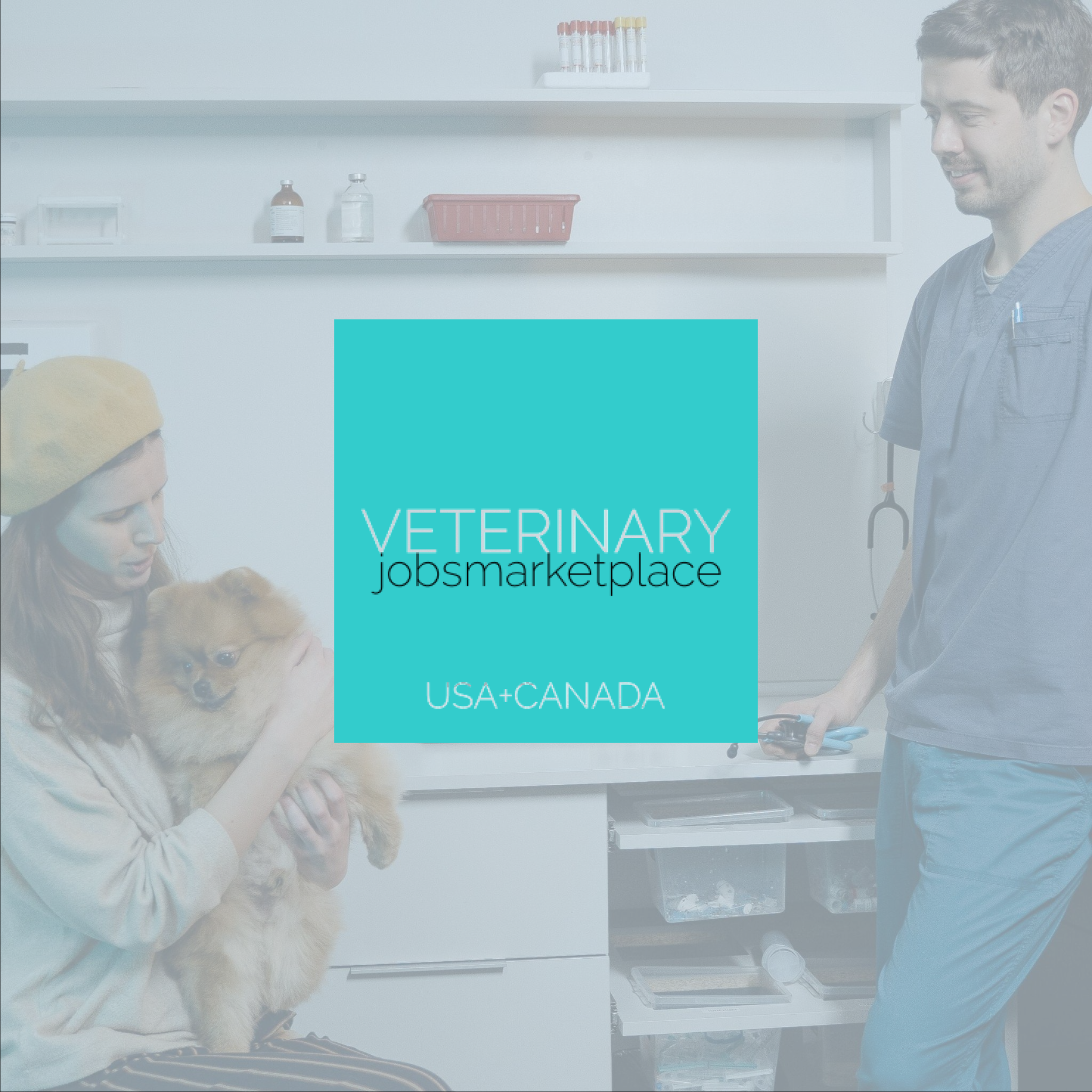Veterinary Jobs Marketplace