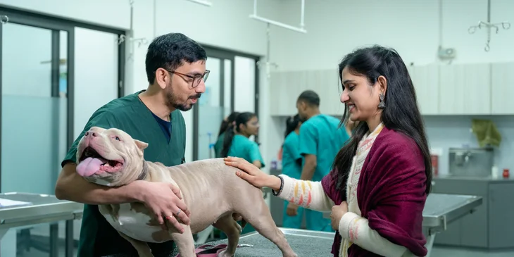 A veterinarian speaking with a client about their dog.