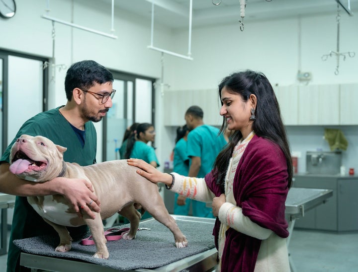 Veterinary Jobs Marketplace Review With Pricing, Alternatives, and FAQs
