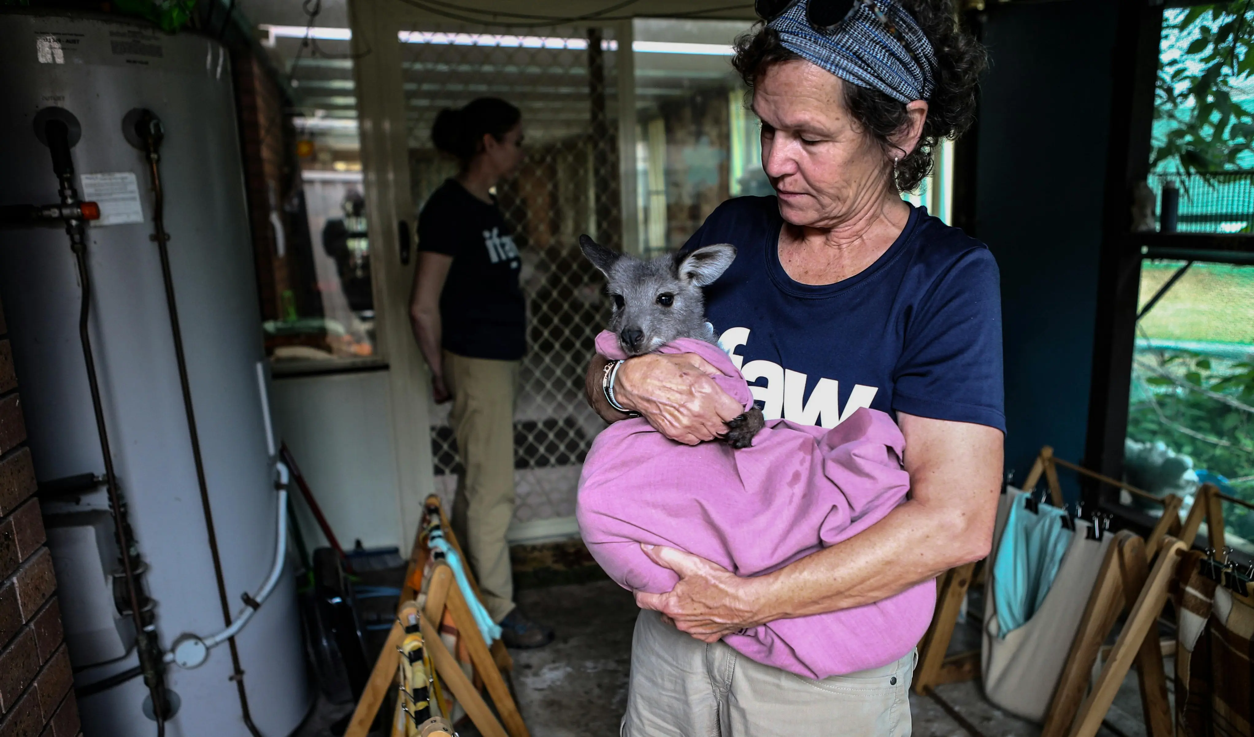 Veterinary Nurse Interview Questions