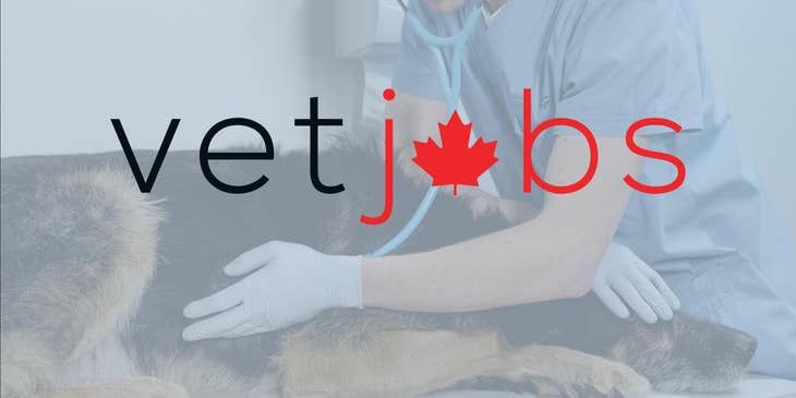 Vetjobs Canada logo.