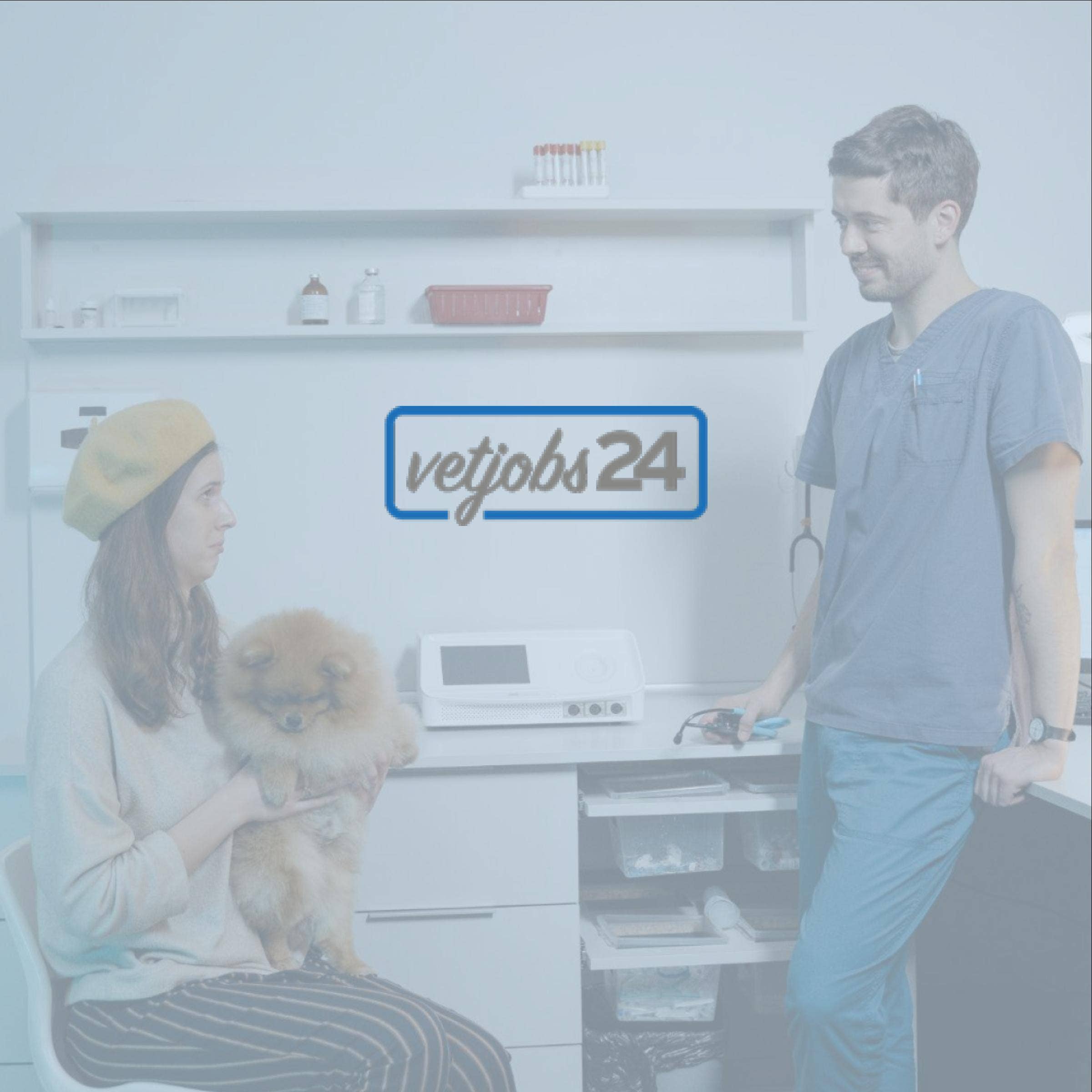 Recensione di Vetjobs24 con prezzi, alternative e FAQs