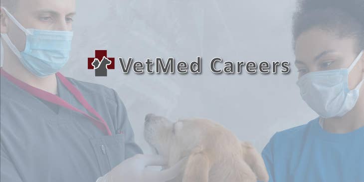 Vetmed Careers logo.
