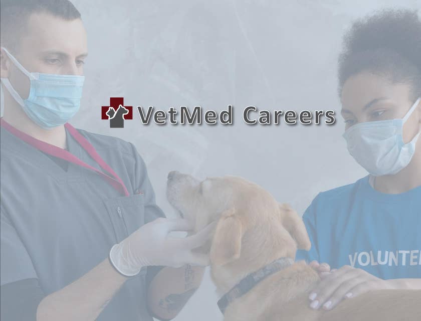 Vetmed Careers logo.