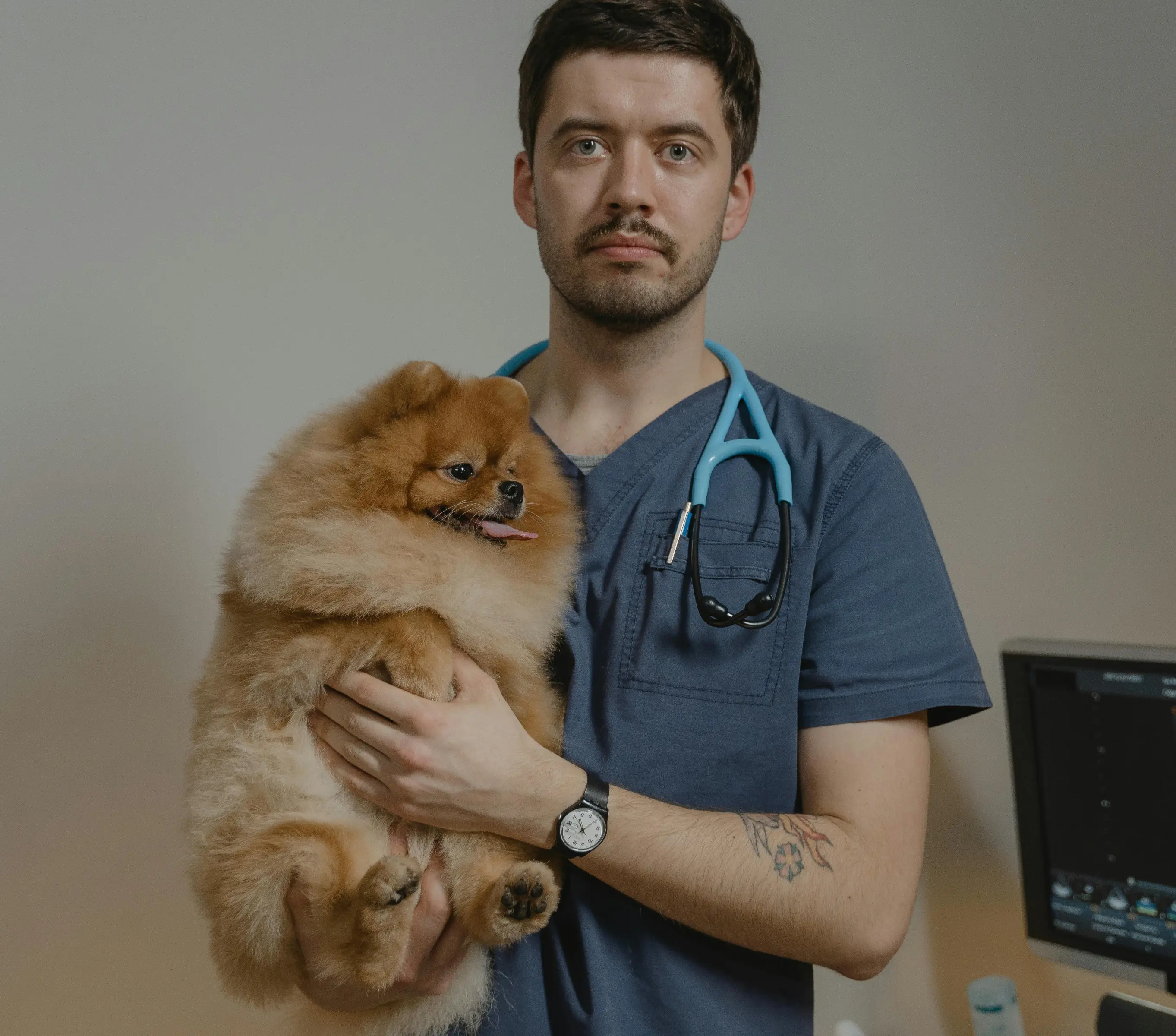 VetMedJobs Review With Pricing, Alternatives, and FAQs