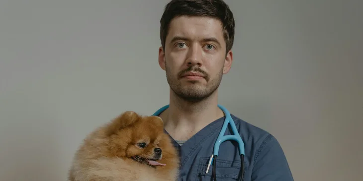 A veterinarian carrying a dog.