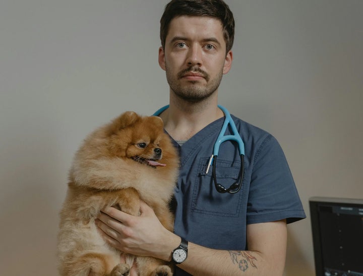 VetMedJobs Review With Pricing, Alternatives, and FAQs