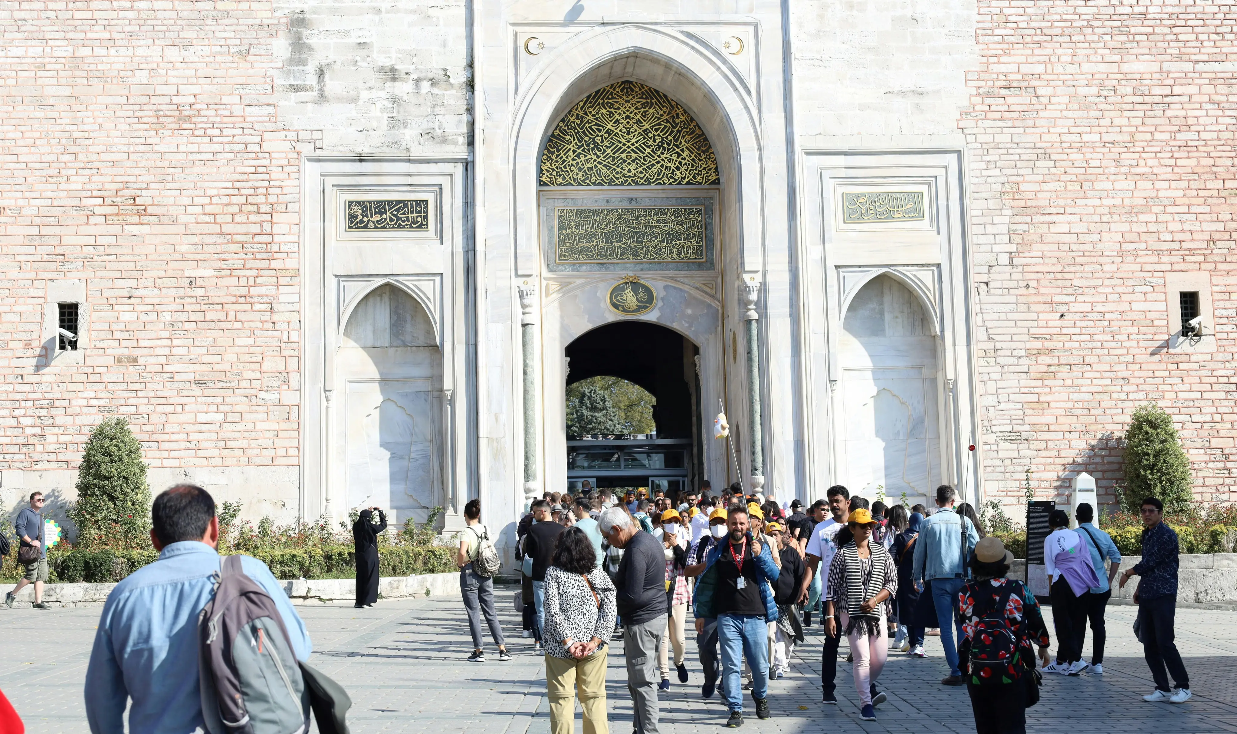 Wander Jobs Review With Pricing, Alternatives, and FAQs