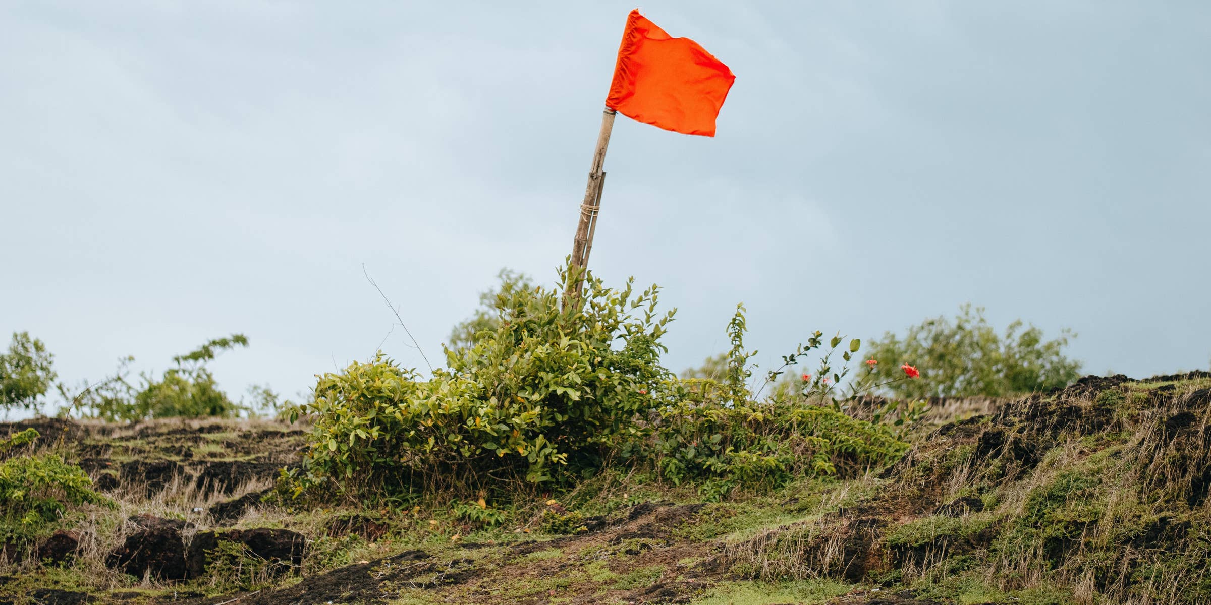 What Can Disqualify You On A Background Check