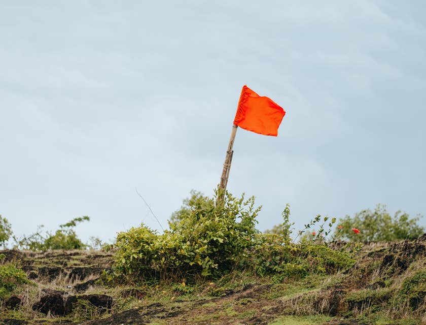 red flag that indicates a background check disqualification