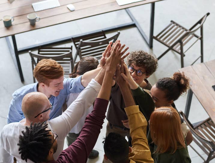 What is an Agile Organization?