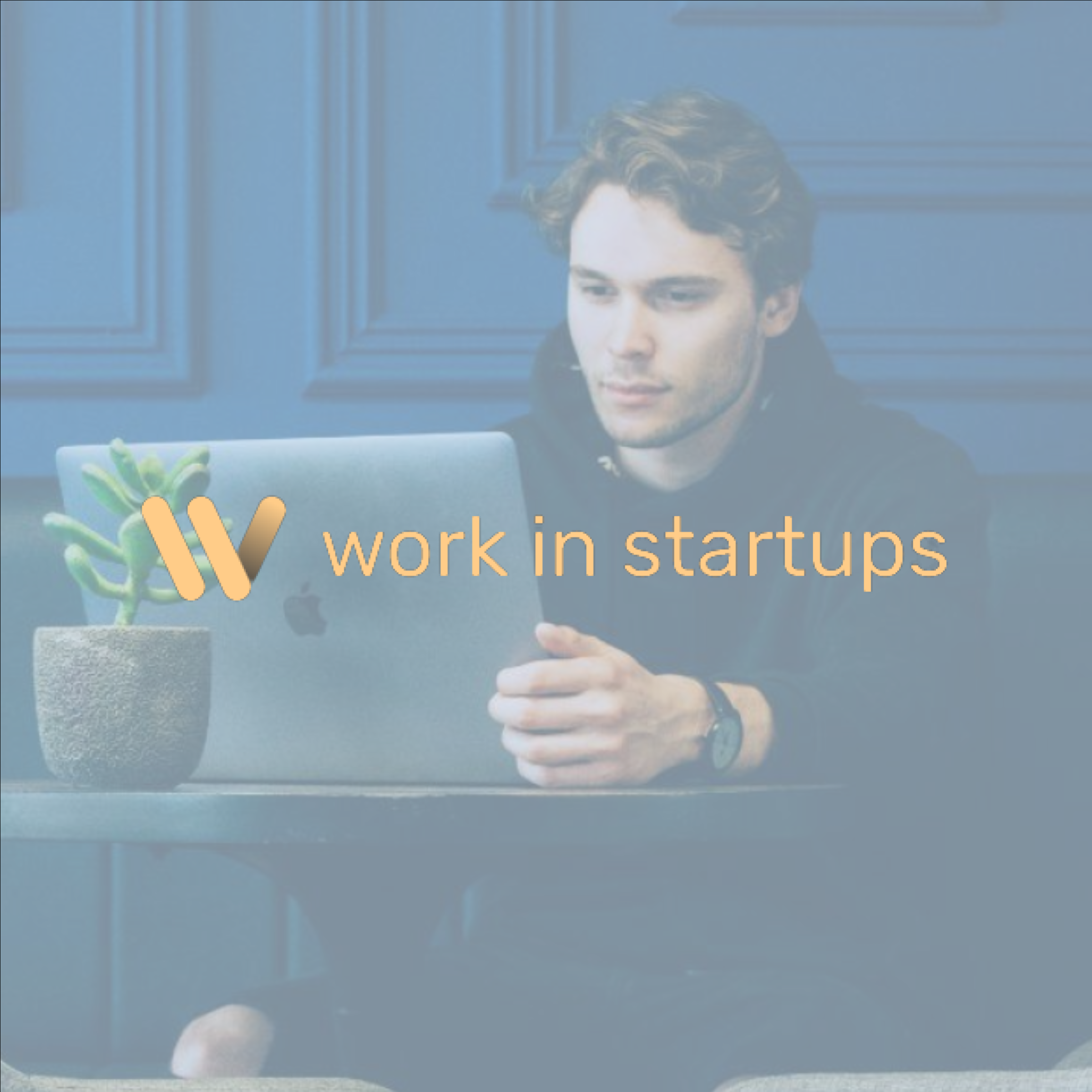 Work In Startups Review With Pricing, Alternatives, and FAQs