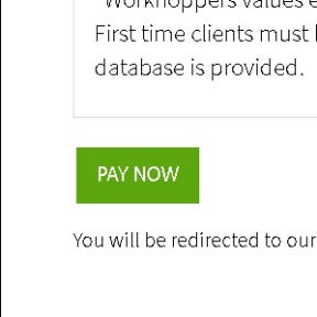 Review and select "PAY NOW."