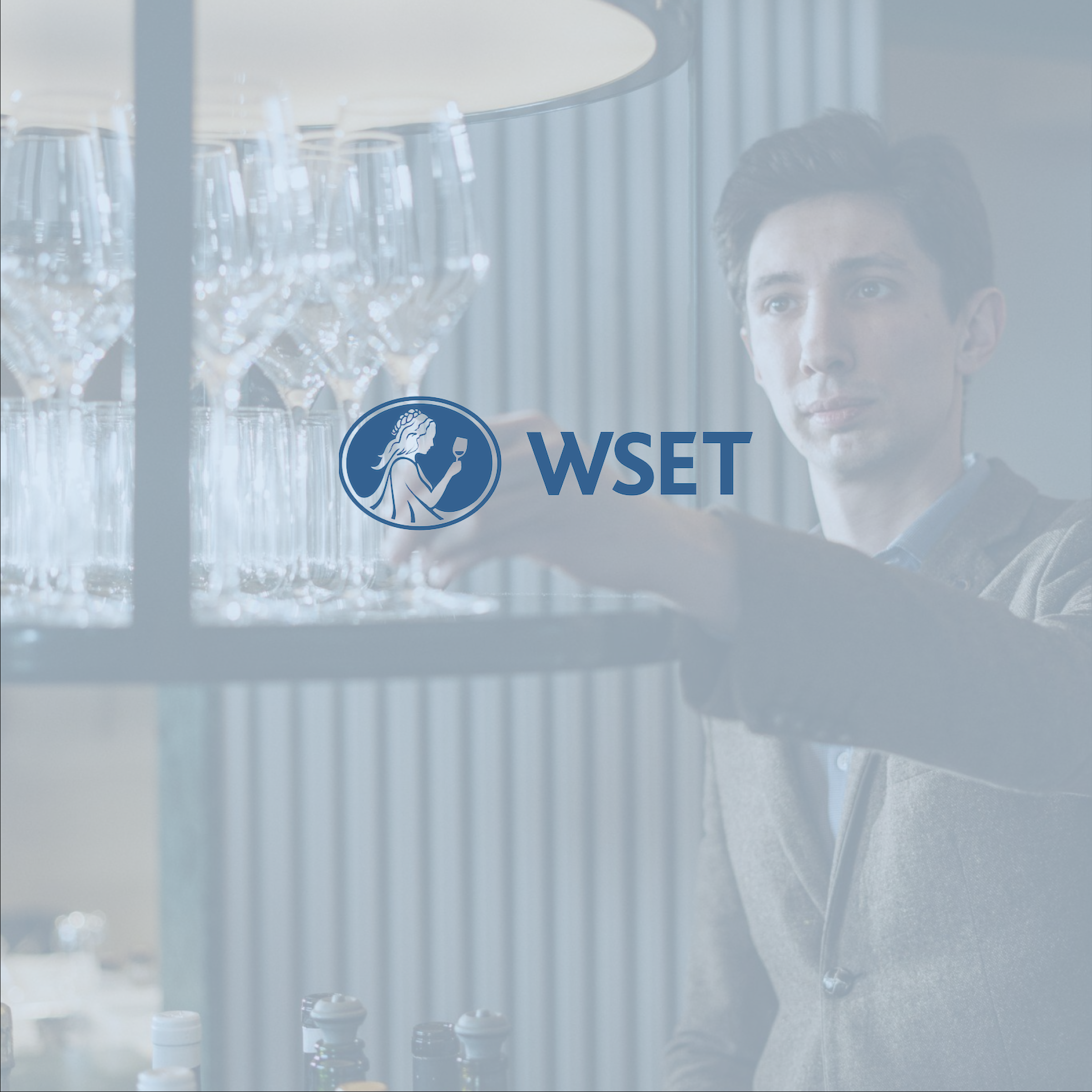 WSET Jobs Board Review With Pricing, Alternatives, and FAQs