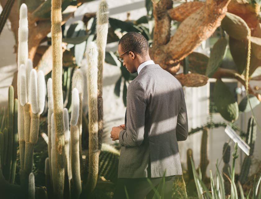 Botanist examining a cactus's' behavior to certain environment