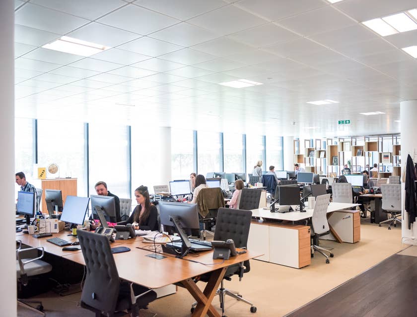 photo of an office setup with a team of Call Center Customer Service Representatives working at their respective workstations