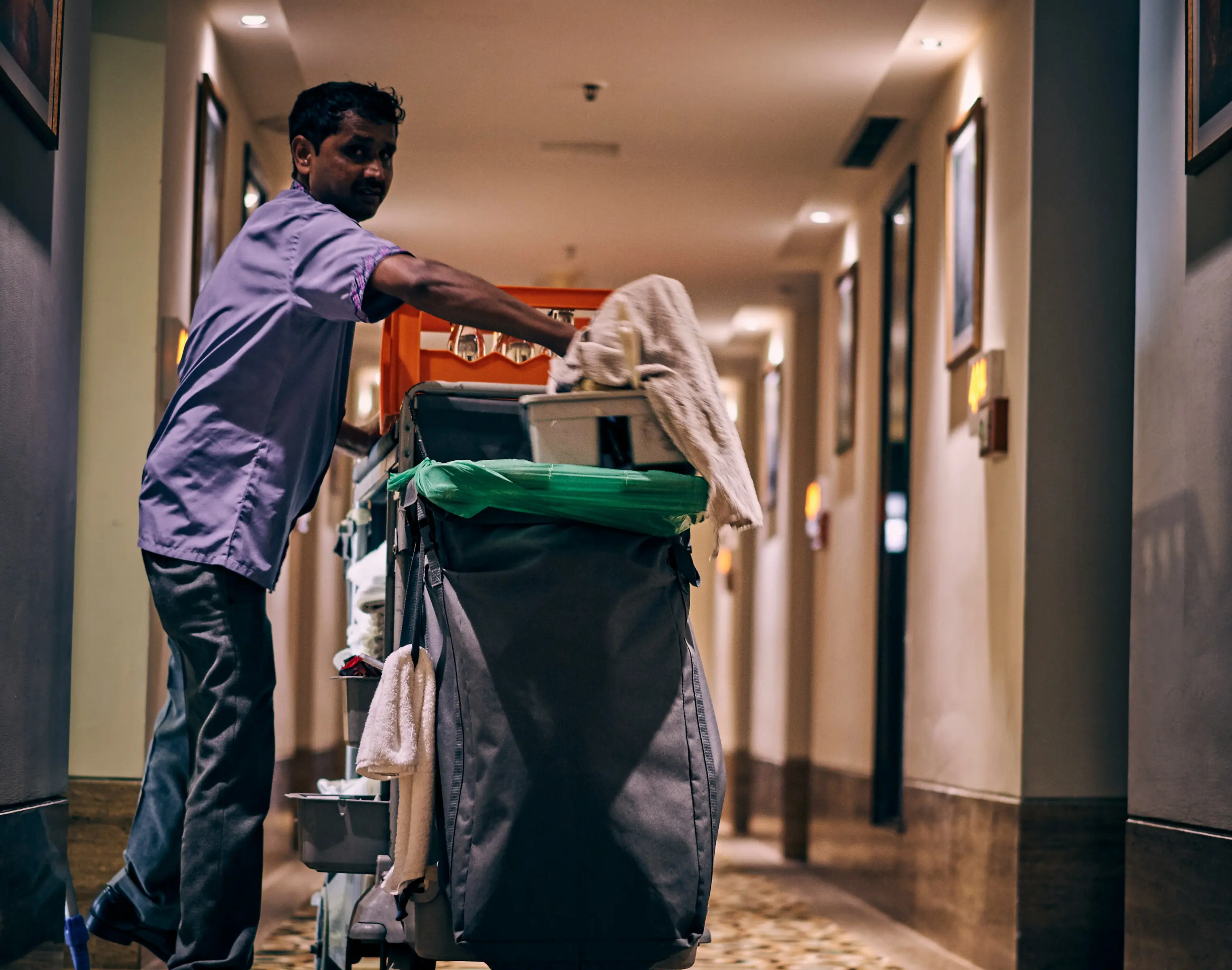 Cleaner Job Description