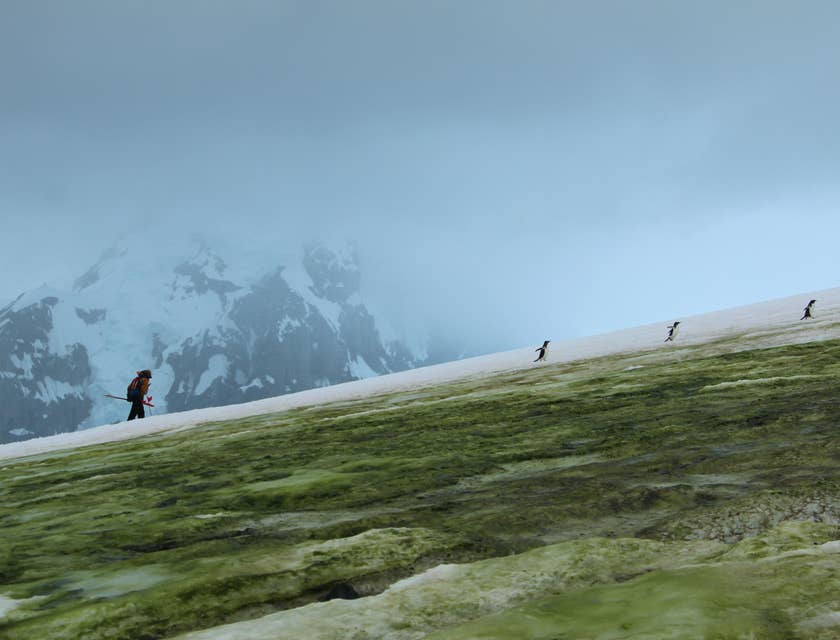 Climatologist hiking to the top of the mountain to setup a device and measure the temperature and atmospheric condition as well as get samples to be studied in the lab