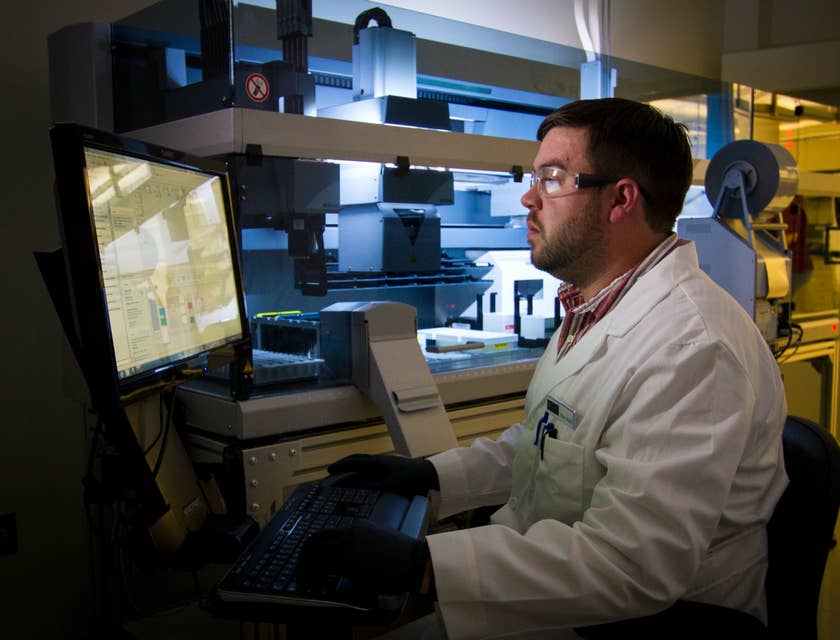 Clinical Analyst running a systems report after installing a software upgrade