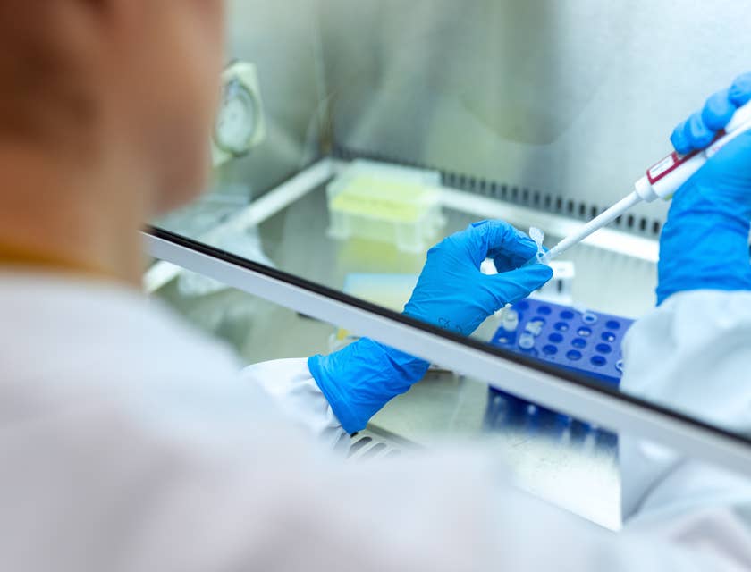 A Female Criminalist applying chemicals to an evidence to analyze and file a report for the test results.