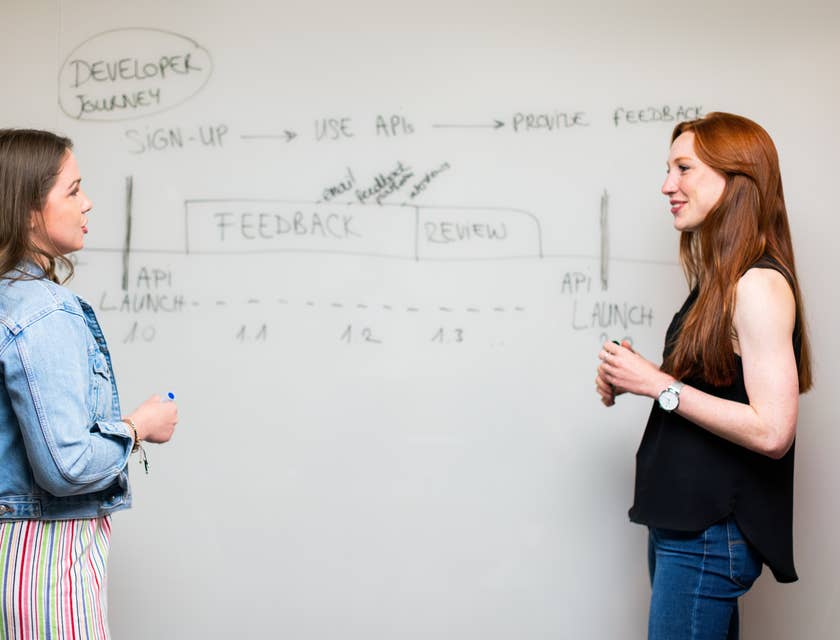 Female DevOps architects discussing the overall design of an enterprise application for the client.
