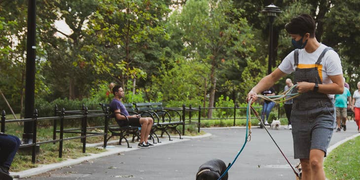 Dog Walker walking in the park while holding the leash and guiding two dogs