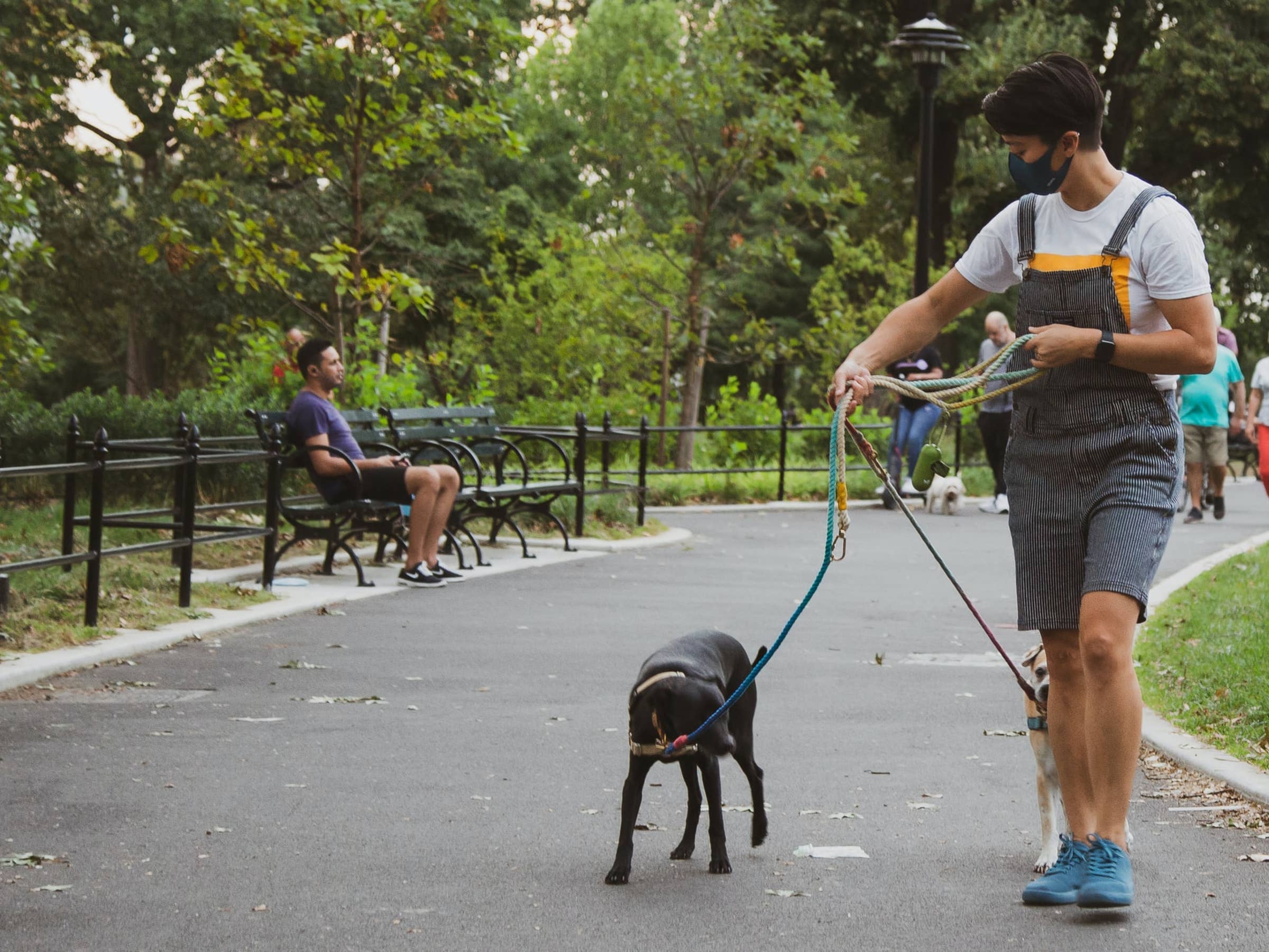 Bonded Dog Walkers