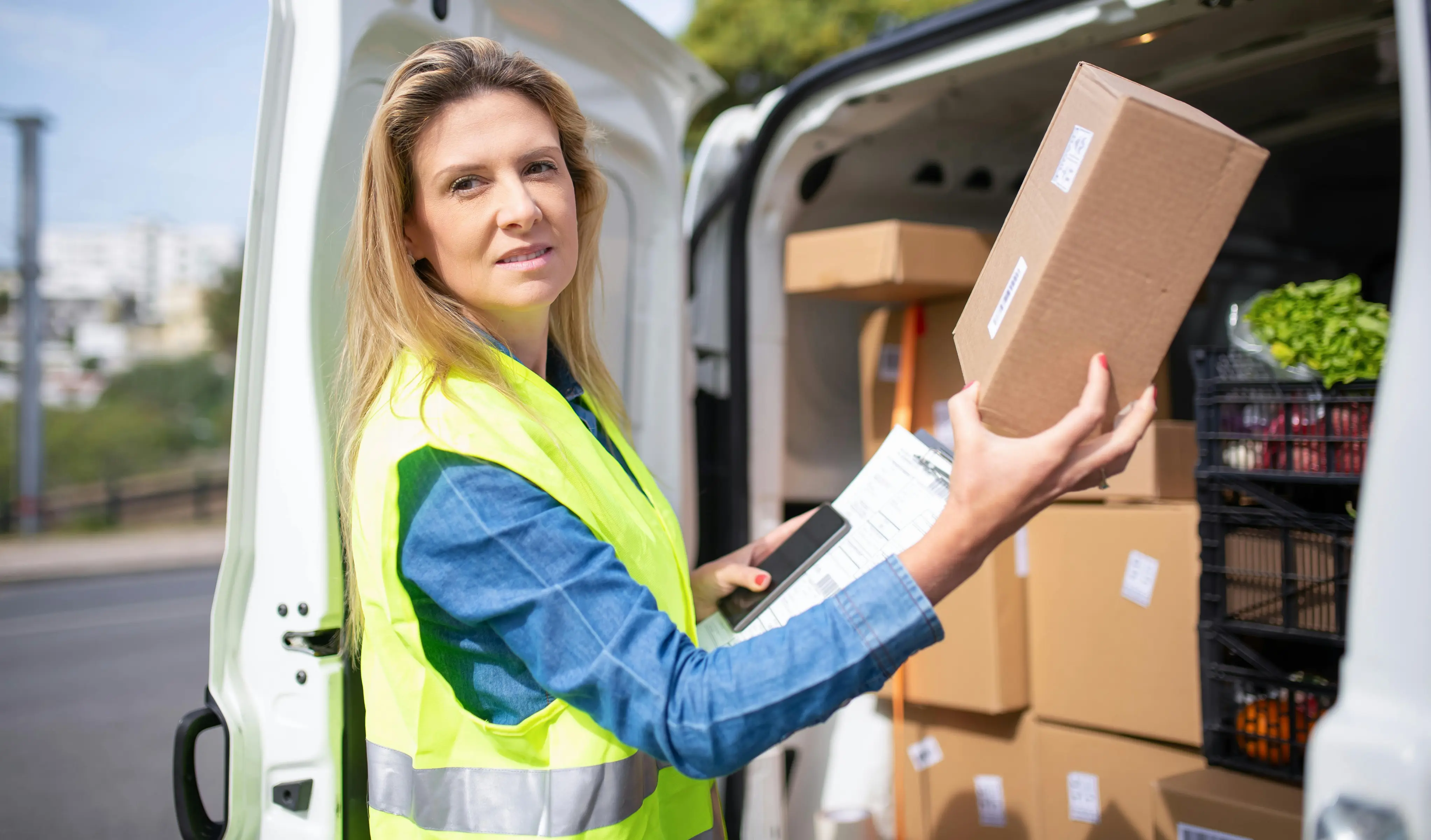 DZ Driver Job Description