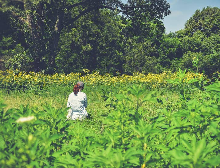 Ecologist Interview Questions