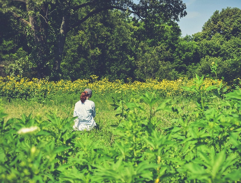 Ecologist standing on a field and collecting samples of plants and different organisms for research