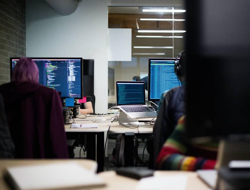 Enterprise Architects working on their respective workstations and integrating the programs used by their clients
