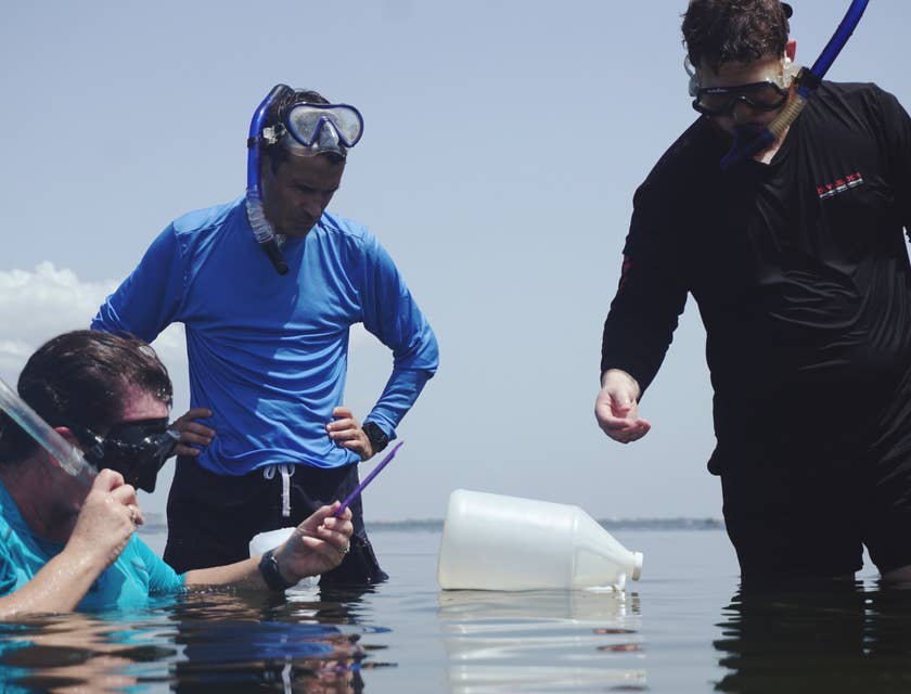 a team of Environmental Specialists collecting a water sample for testing purposes