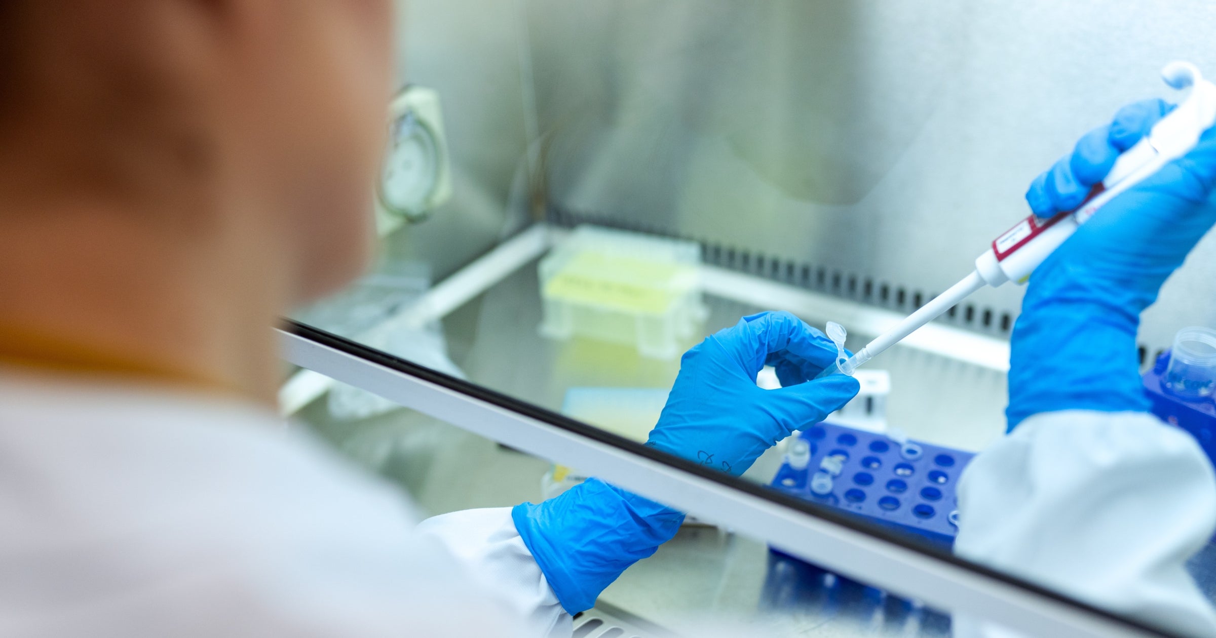 Epidemiologist Job Description