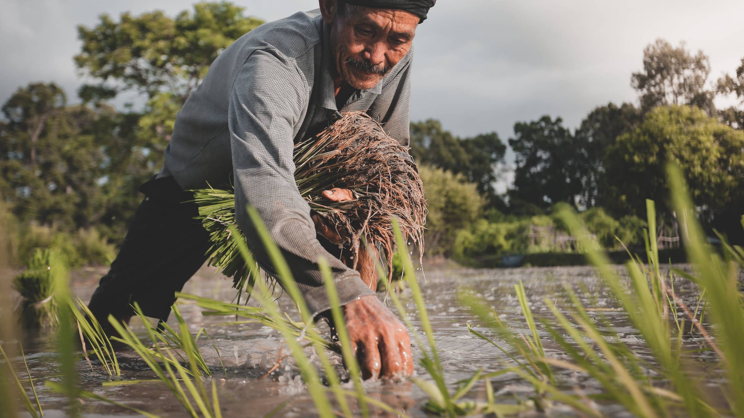 Farmer Job Description