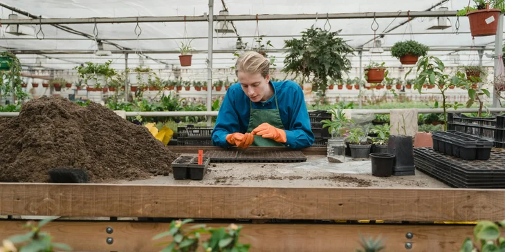 A gardener planting a seed.