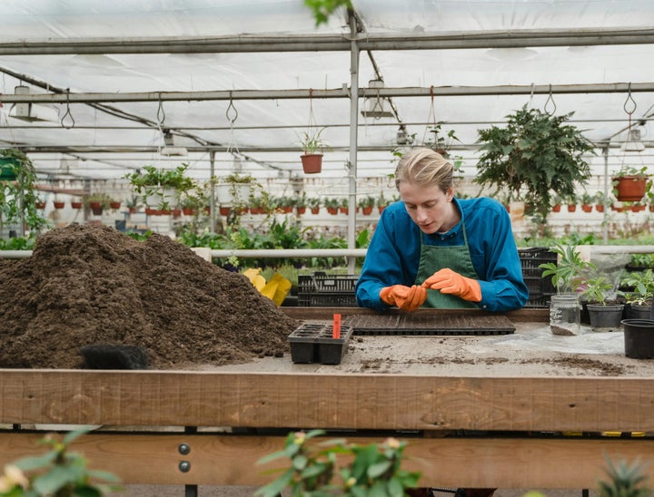 Gardener Interview Questions