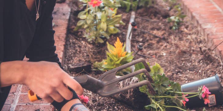 Gardener planting a flower in a plant box