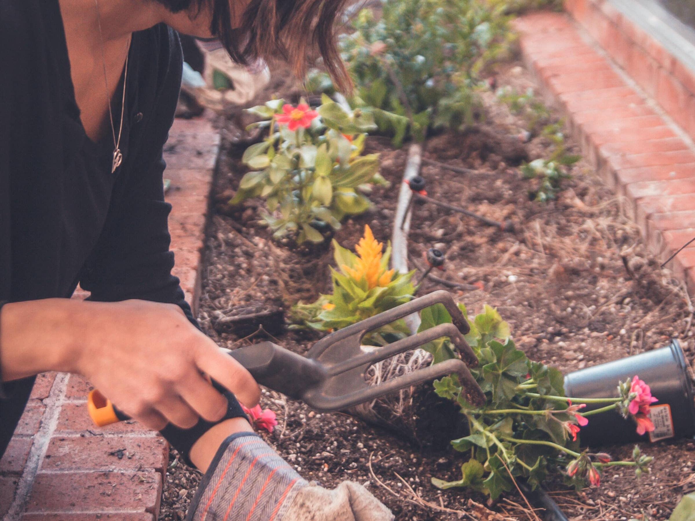 Commercial Gardening