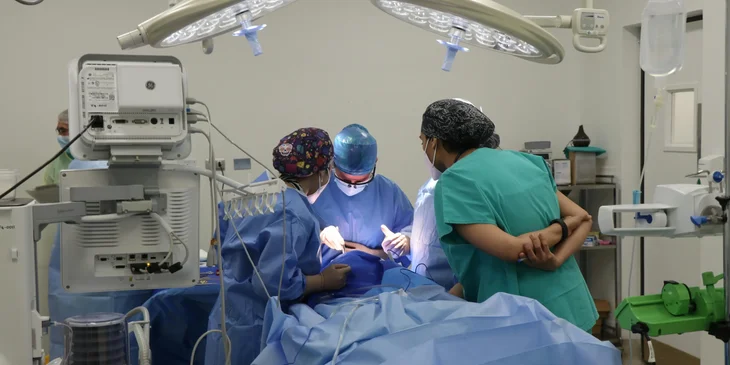 A hepatologist about to perform a liver transplant.