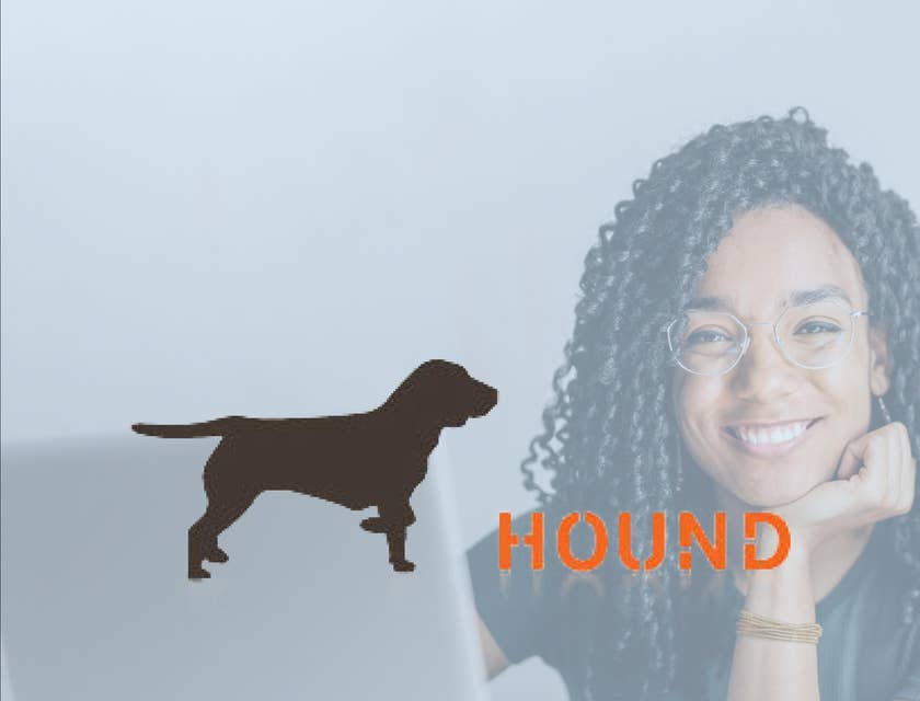 Hound logo.