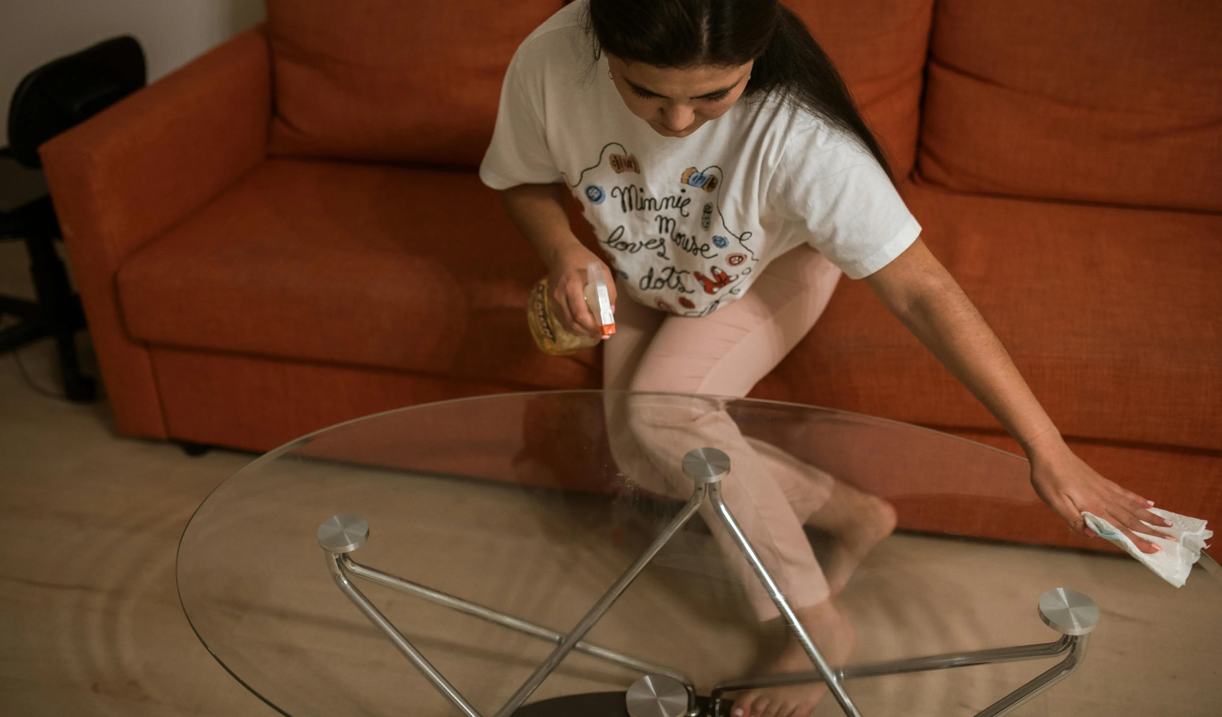 House Sitter Job Description