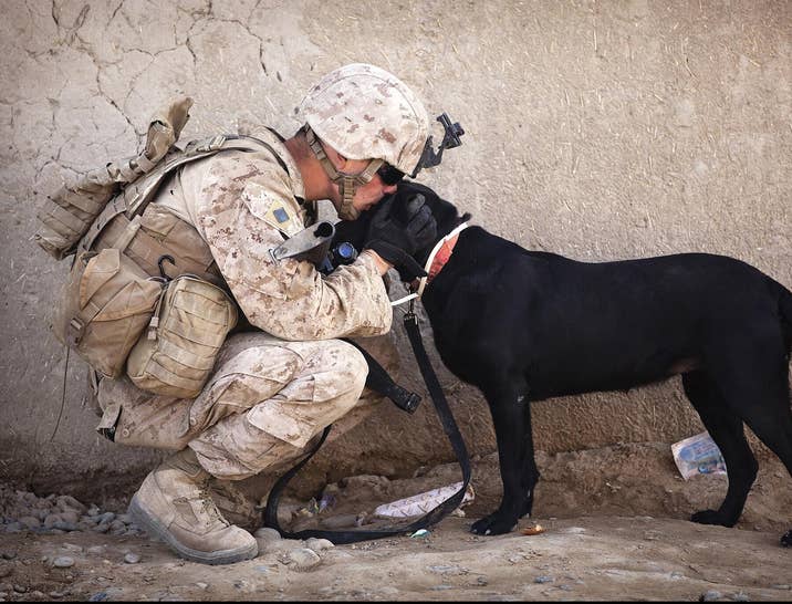 How to Hire Veterans
