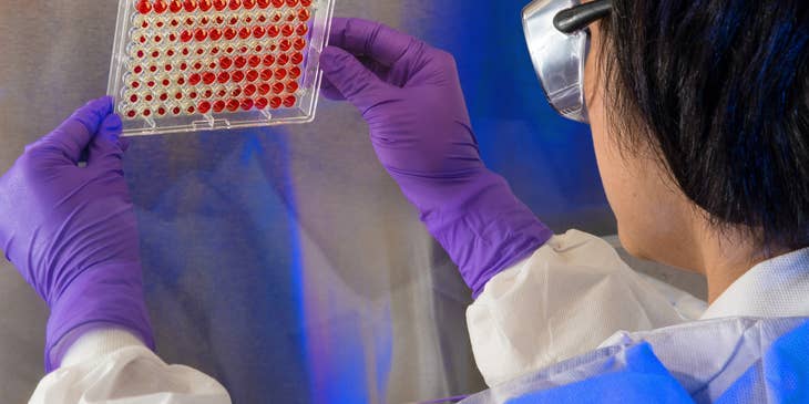 Immunologist examining a microtiter plate in a laboratory.