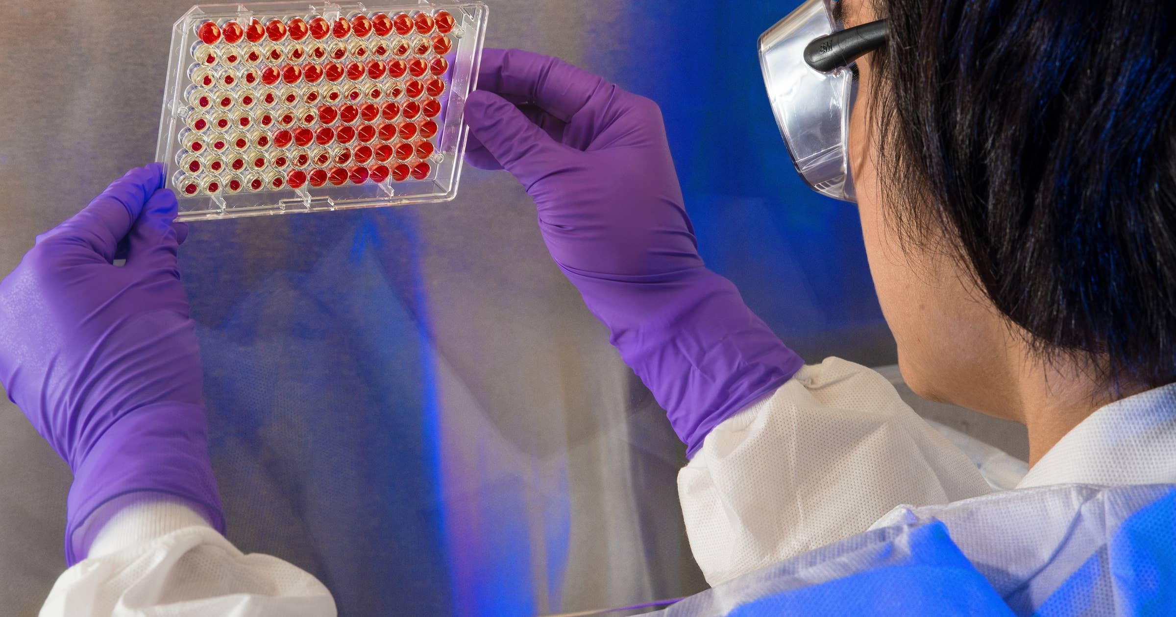 Immunologist Job Description